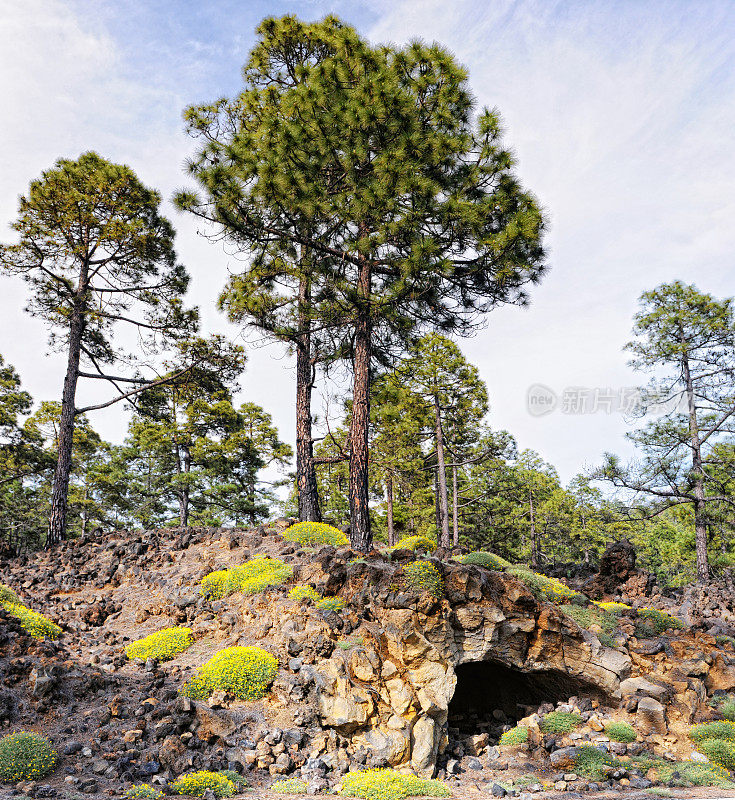 火山景观el teide国家公园(特内里费)。